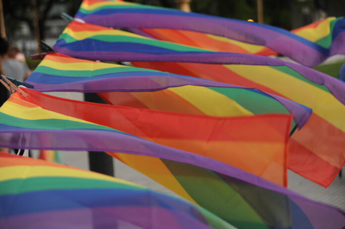 BANDERAS-LGBT-DSC_0126