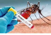 Ayelén Silvestro: “Negar lo que está pasando hace que cada vez sea peor lo que viene “