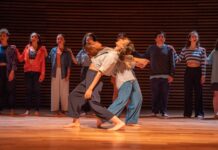 Se abrió la convocatoria para la VIII Edición del Festival Internacional Danza x la Identidad Argentina