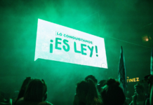 Desfinanciar para voltear las leyes que supimos conseguir