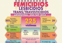 En lo que va del año hubo 225 víctimas de violencia de género