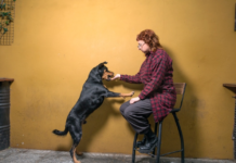 Noelia Sinkunas presenta «Unión y perseverancia», su nuevo disco