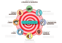 Más allá de menstruar: puentes entre la #MenstruAcción y la menopausia
