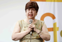 La profesora Margarita Rozas Pagaza, nominada al prestigioso premio internacional Katherine Kendall