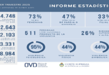 Crecen las denuncias por violencia doméstica: el 73% de las víctimas son mujeres