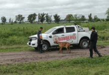 Un único sospechoso detenido por el crimen de Magalí en Entre Ríos
