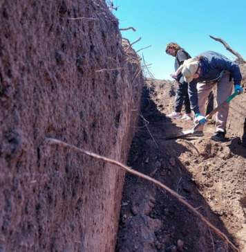 Córdoba: confirman la identificación parcial de 12 personas entre los restos óseos hallados en la guarnición militar de La Calera