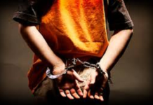 Stefanía Alba: «La delincuencia va de la mano del sistema económico y de la necesidad”