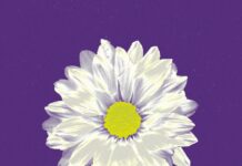 Erich Larsson presenta su nuevo disco “Reproducción Extendida”, un viaje sonoro entre loops y paisajes oníricos