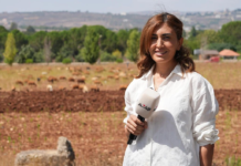 Líbano denuncia la muerte de la periodista Amal Khalil como un «crimen de guerra» de Israel