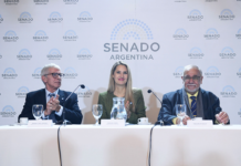 Falsas denuncias: el proyecto de Losada avanza sobre un problema mínimo mientras millones de mujeres siguen sin denunciar violencia