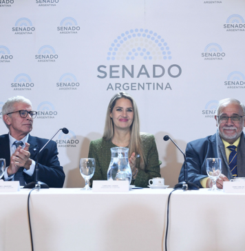 Falsas denuncias: el proyecto de Losada avanza sobre un problema mínimo mientras millones de mujeres siguen sin denunciar violencia