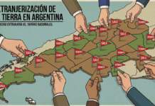 Soberanía en jaque: el Senado define el futuro de las tierras rurales en medio de un fuerte rechazo social y eclesiástico