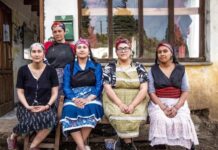 La dignidad no se desaloja: Casación absolvió a las mujeres mapuches y fijó un límite constitucional al ensañamiento racista y de género