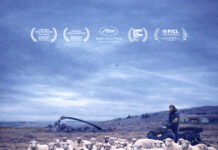 Cine Nacional: Llega «Los Vencedores», un viaje incómodo y humano a las Islas Malvinas