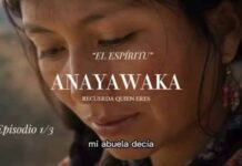Anatomía del sentir: El milagro estético de «Jim Filmmaker AI» y su comunión ancestral con la tierra latinoamericana