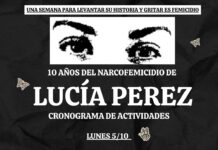 La radiografía del horror y la impunidad judicial: el Observatorio Lucía Pérez alerta sobre la escalada de femicidios en Argentina.