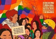 Camino al Encuentro: Córdoba como trinchera del feminismo federal frente al avance del ajuste y la violencia machista