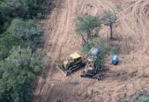 Ecocidio en el norte norteño: el desmonte devora el territorio y los cementerios wichí con complicidad estatal