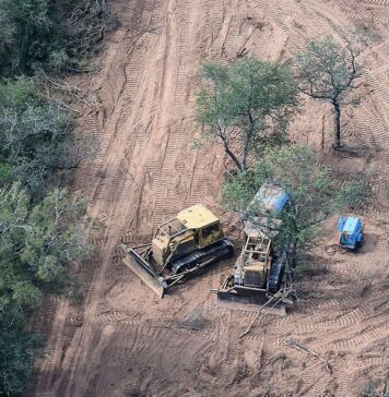 Ecocidio en el norte norteño: el desmonte devora el territorio y los cementerios wichí con complicidad estatal