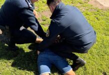 Femicidio en Mar del Plata: mató a su expareja de un disparo en el cuello y lo detuvieron cuando escapaba armando un operativo cerrojo