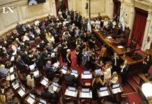 El retorno del encierro: por qué la reforma de la Ley de Salud Mental aprobada por el Senado es un retroceso histórico